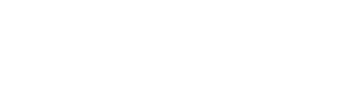 Optomeyes